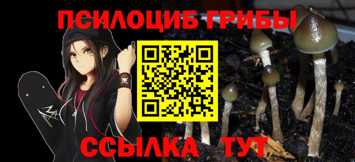 APVP Обь