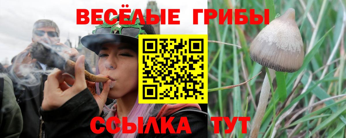 Галлюциногенные грибы Magic Shrooms Обь