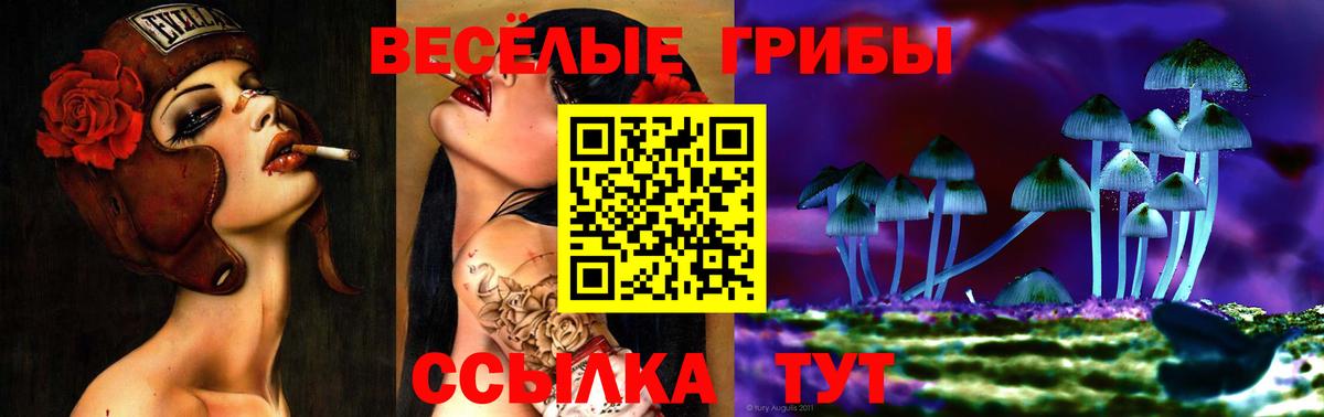 Псилоцибиновые грибы мухоморы  Галлюциногенные грибы Psilocybe  Вход с VPN  Обь 